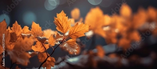 Obraz Beautiful autumn leaves on blurred background