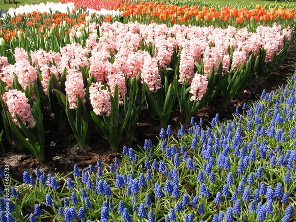 Obraz mieszany kwiat