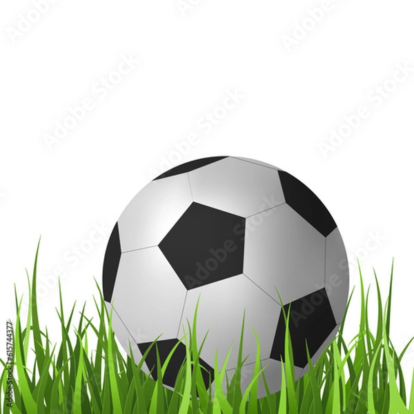 Fototapeta A realistic 3D football ball vector illustration on a green grass background. Perfect for sports related designs, representing activity, athleticism, and competition