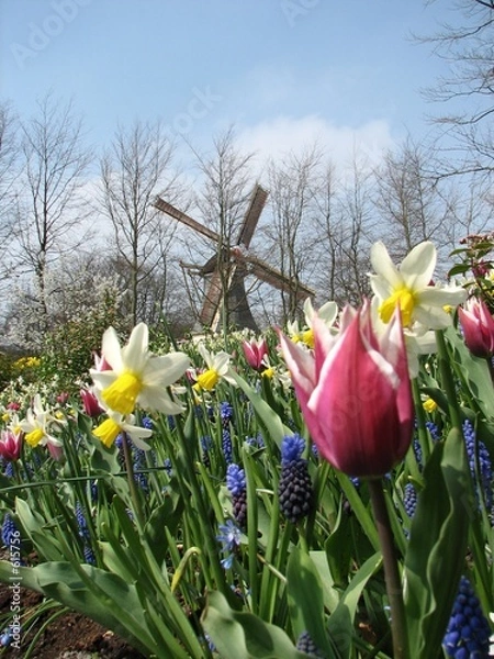 Obraz mill and flowers