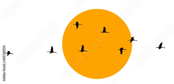 Fototapeta Wildgänse Kraniche Vögel. Wildgänse im Frühling und Herbst.