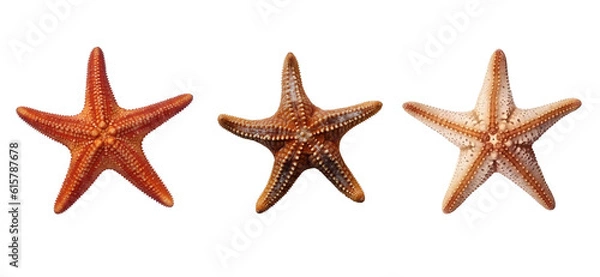 Fototapeta Starfish or sea star isolated on white background with clipping path. Full Depth of field. Focus stacking. PNG. Generative AI