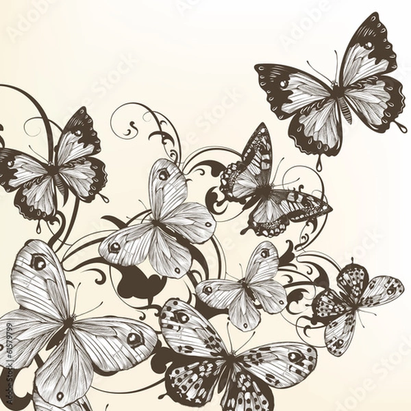 Fototapeta Beautiful vector background with monochromic  butterflies
