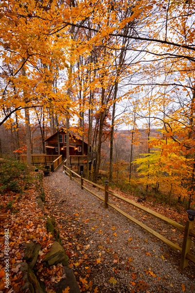 Obraz Cabin in the fall