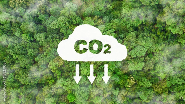 Fototapeta environment sustainable circular economy for future growth of business Carbon neutral and net zero environment A climate-neutral long-term strategy greenhouse gas emissions targets 