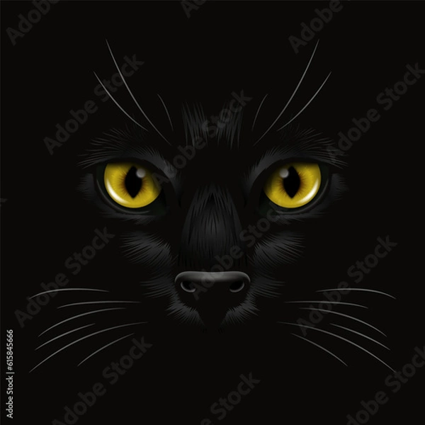 Fototapeta Vector 3d Realistic Yellow, Brown, Orange Cats Eye of a Black Cat in the Dark, at Night. Cat Face with Yes, Nose, Whiskers on Black. Cat Closeup Look in the Darkness. Front View