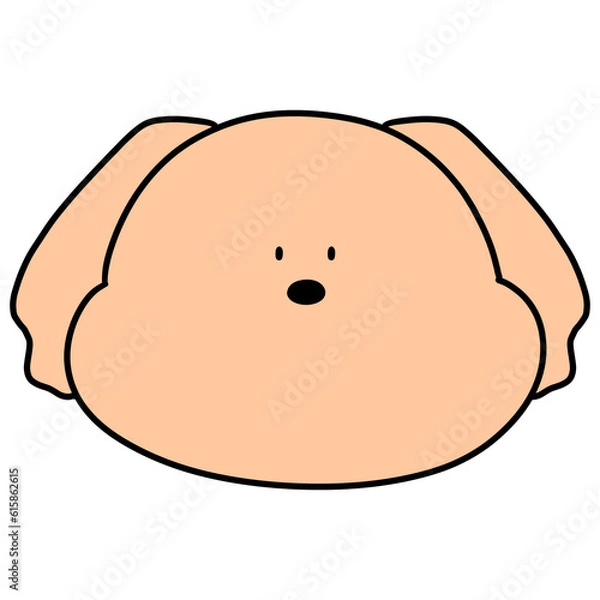 Fototapeta Brown Puppy 4