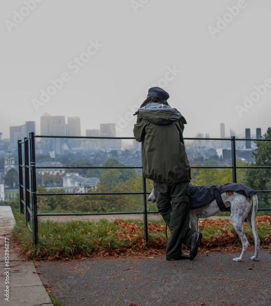 Obraz Overlooking the city