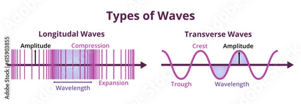 Obraz illustration or diagram of types of waves. Longitudinal and transverse waves with description isolated on white. A medium or particles travel perpendicular or parallel to the direction of the wave.