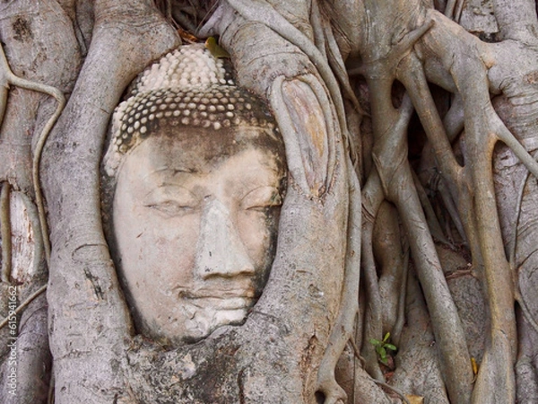 Obraz OLYMPUS DIGITAL CAMERA