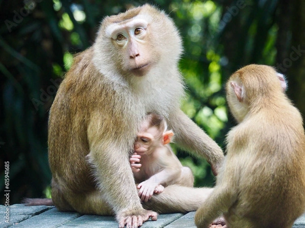 Obraz OLYMPUS DIGITAL CAMERA