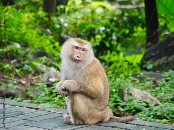 Obraz OLYMPUS DIGITAL CAMERA