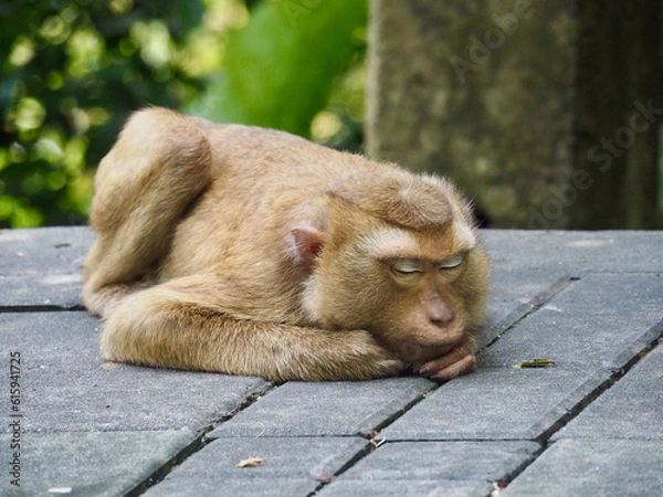 Obraz OLYMPUS DIGITAL CAMERA