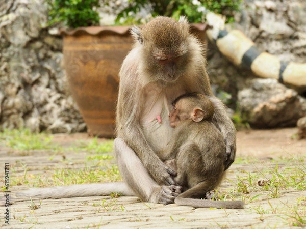 Obraz OLYMPUS DIGITAL CAMERA