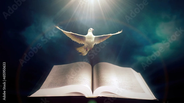 Fototapeta Pigeon with a open bible and clouds