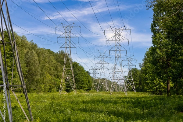 Fototapeta High-voltage power line in a forest clearing. Power transmission towers in the forest