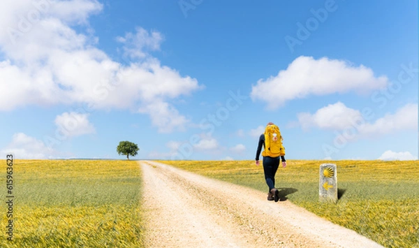 Fototapeta Camino de Santiago - A young pilgrim with a yellow backpack, walking alone in the barren and impressive Spanish plateau, on a pilgrimage to Santiago de Compostela - Selective focus