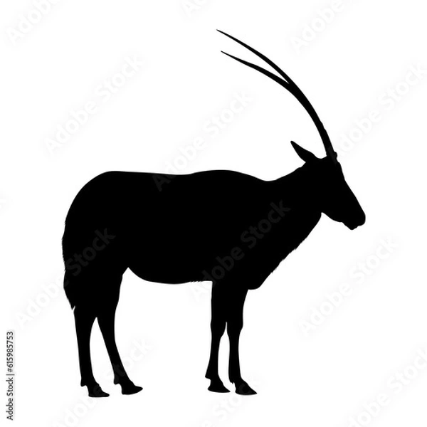 Fototapeta Standing Scimitar Horned Oryx Silhouette. Good To Use For Element Print Book, Animal Book and Animal Content