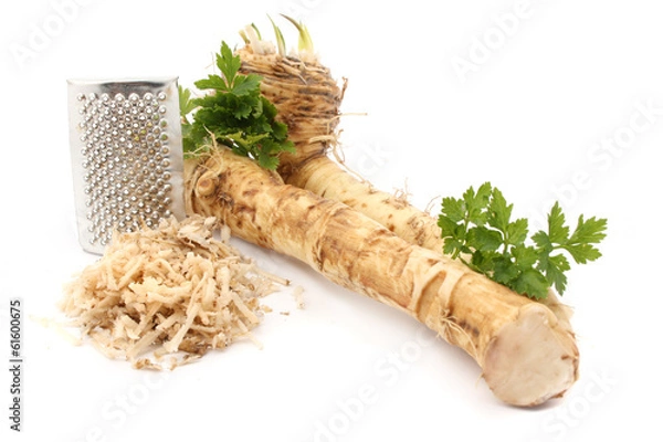 Obraz fresh horseradish