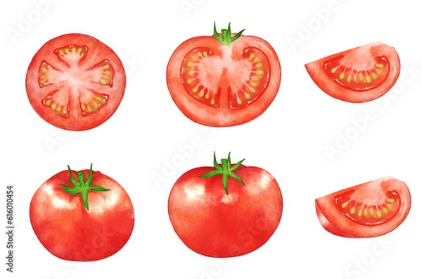 Fototapeta Set of tomatoes painted by digital watercolor