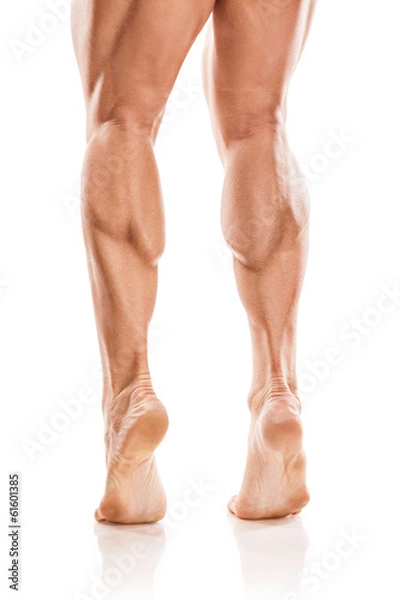 Obraz Strong Athletic Man Fitness Model Torso pokazujący nagie muskularne