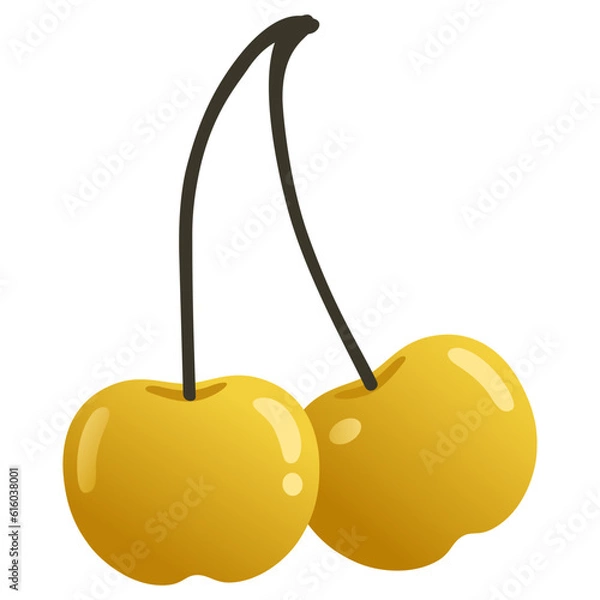 Obraz Rainier Cherry Cherries Flat Design Illustration Vector