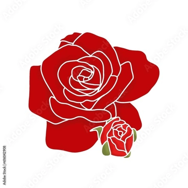 Fototapeta red rose 