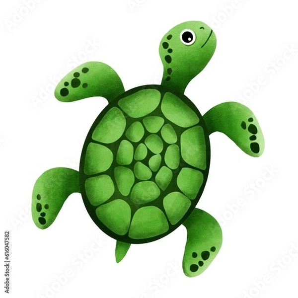 Fototapeta turtle