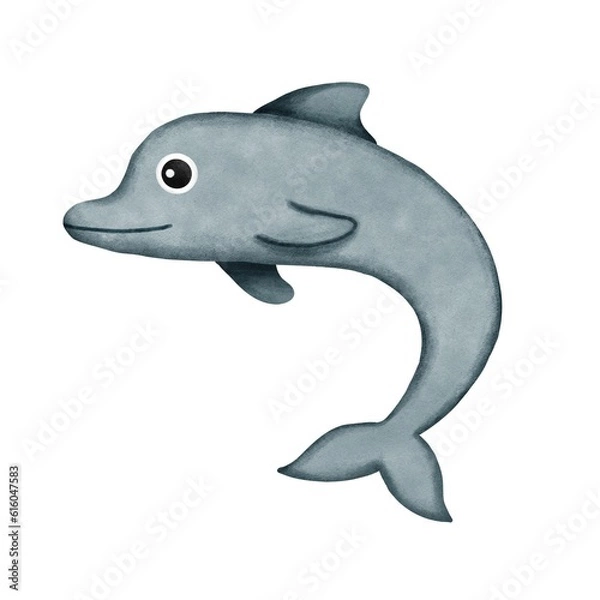 Fototapeta dolphin 