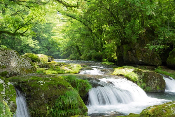 Obraz 熊本県 菊池渓谷