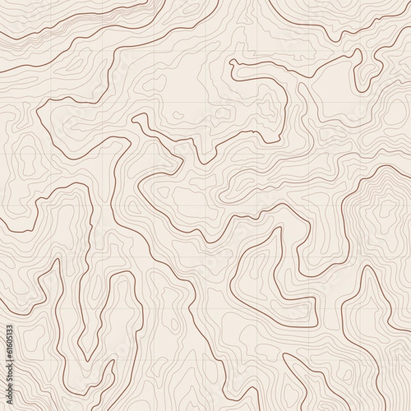 Obraz Tło mapy topograficznej