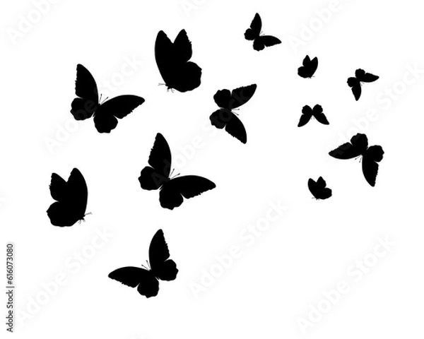 Fototapeta set of butterflies