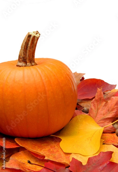 Obraz Pumpkin, leaves and acorns isolated on white