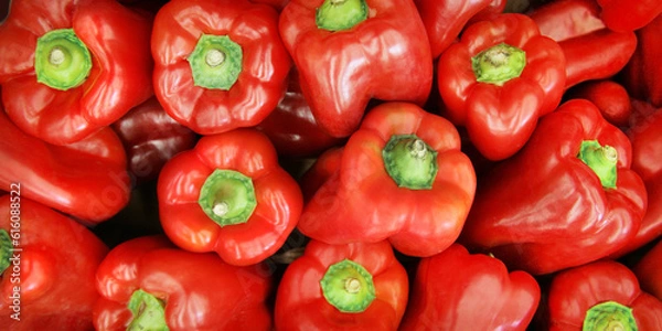 Obraz rote Paprika 