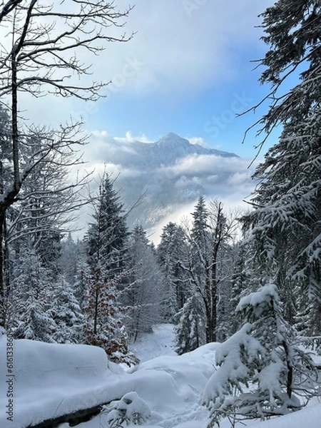 Obraz Mountains in the Winter
