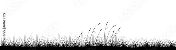Obraz Reeds in meadow grass panoramic background design. Wild nature. Vector illustration with empty copy space for text. Editable shape for poster decoration. Creative and customizable panorama image