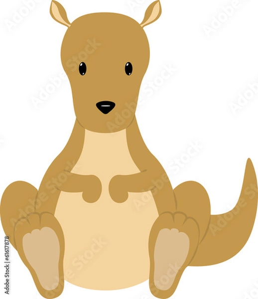 Fototapeta Kangaroo