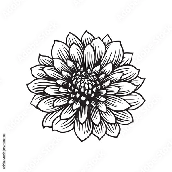 Fototapeta Black and white simple flower. Vector illustration