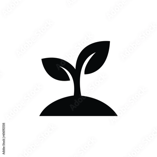 Obraz Seed and seeding icon vector