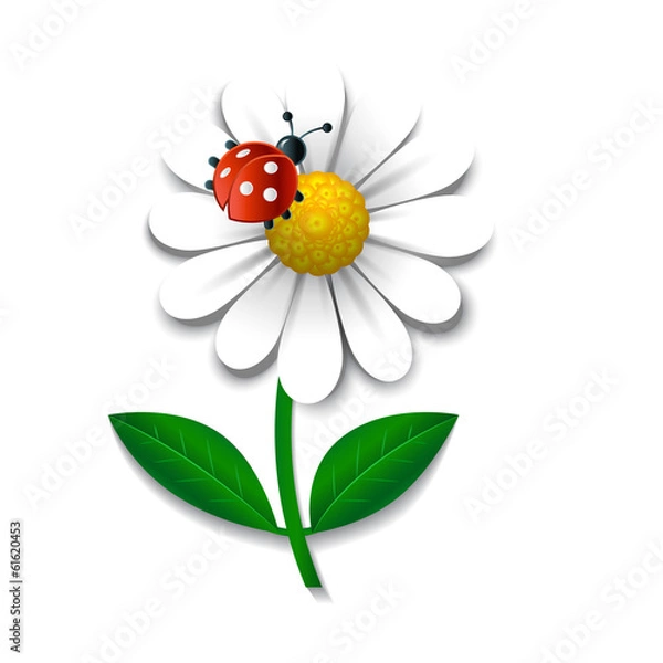 Obraz Camomile and ladybug