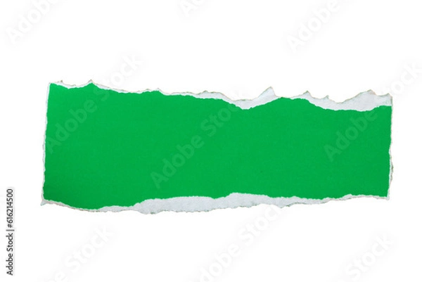 Obraz papel rasgado, hoja