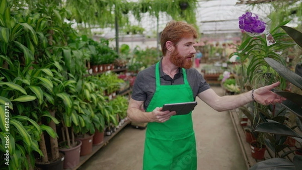 Fototapeta A male employee using tablet to browse inventory walking inside Flower Shop. Young man wearing green apron holding inspecting store with modern technology. Local business concept