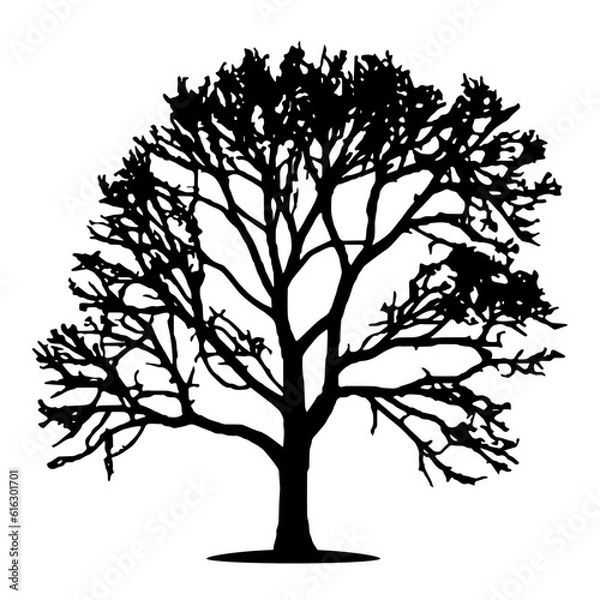Fototapeta Tree silhouette isolated vector template 4