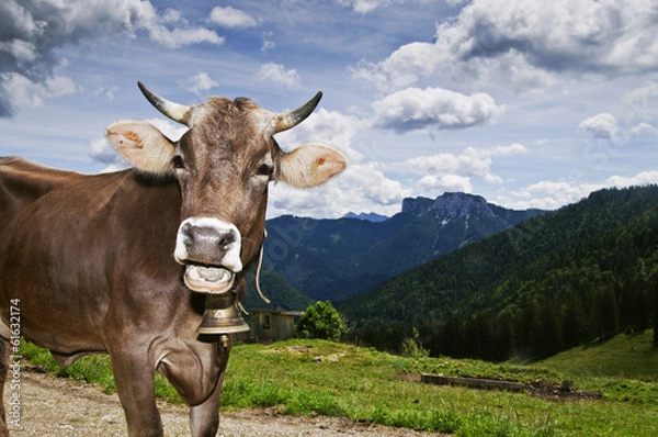 Obraz Kuh auf der Alm 2