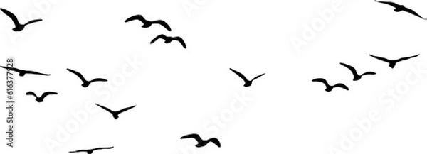Obraz birds in flight