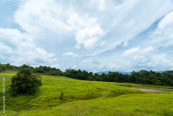 Fototapeta landscape with sky and clouds