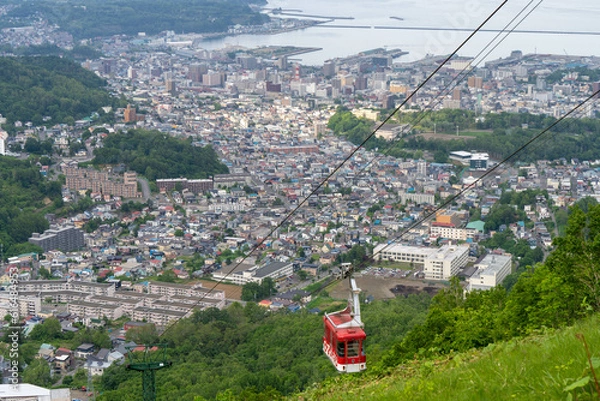 Obraz 小樽　都市景観　天狗山　街並み　シマリス園　動物　小動物　栗鼠