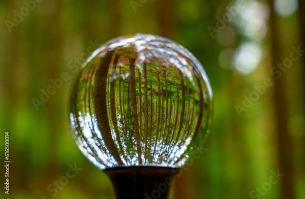 Fototapeta Environment Concept - Crystal Earth On moss In Forest With Ferns And Sunlight - Environment, save clean planet, ecology concept.
