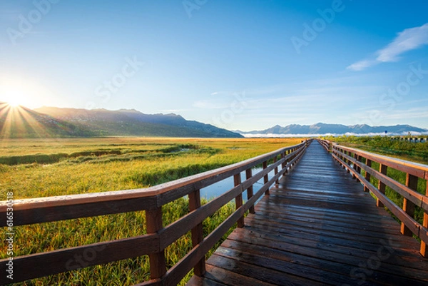 Obraz A wooden boardwalk in Potter Marsh Bird Sanctuary, Alaska.