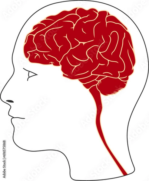 Obraz human brain mind